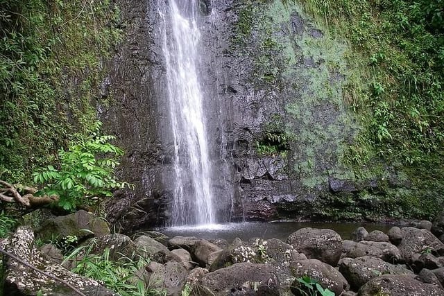 Manoa Falls Waterfall Hike! - Photo 1 of 5